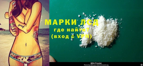 прущие грибы Сясьстрой