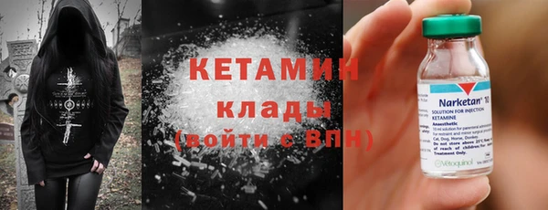 прущие грибы Сясьстрой