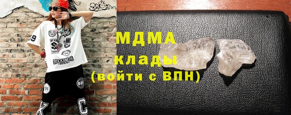 прущие грибы Сясьстрой
