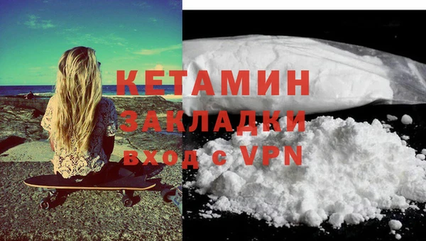 прущие грибы Сясьстрой