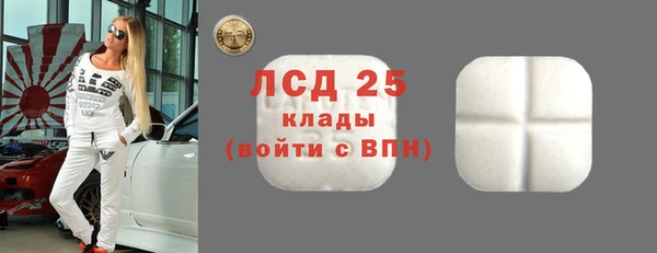прущие грибы Сясьстрой