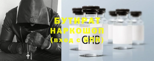 прущие грибы Сясьстрой