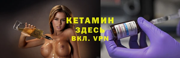 прущие грибы Сясьстрой