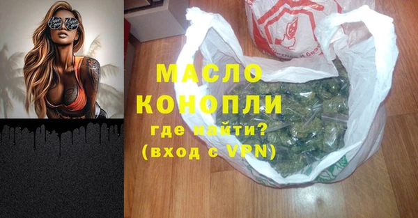 прущие грибы Сясьстрой