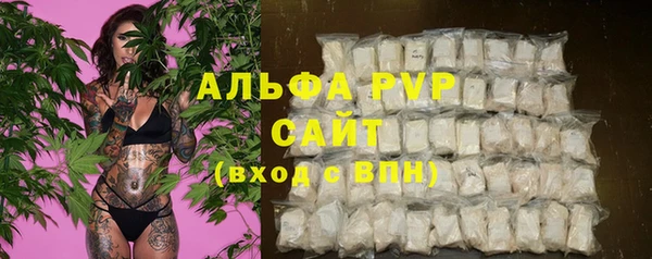 винт Тайга