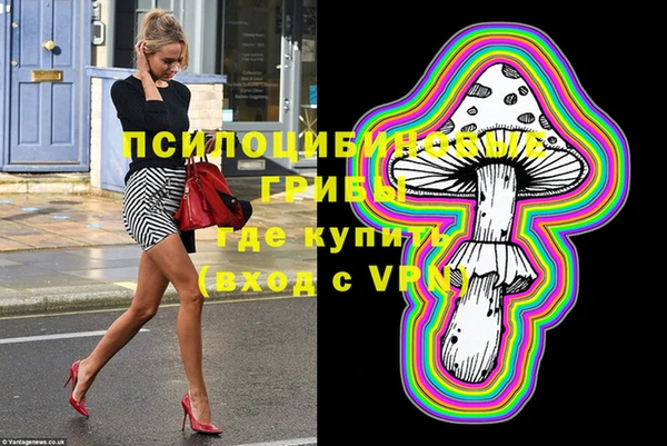 винт Тайга