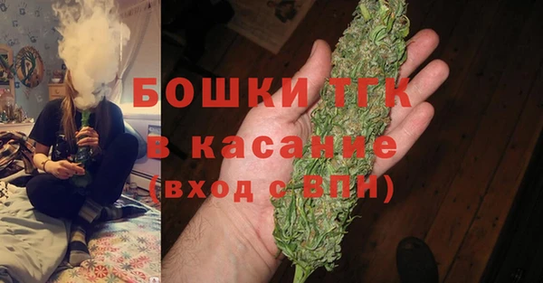 прущие грибы Сясьстрой