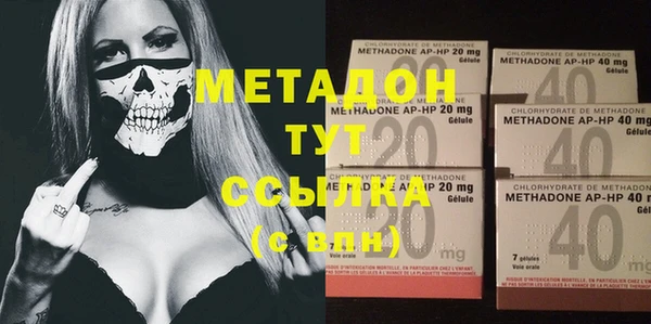 прущие грибы Сясьстрой