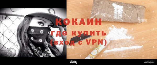 винт Тайга