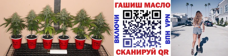 Купить  Остров  ТГК гашишное масло 
