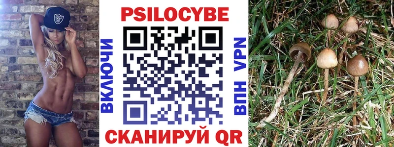 Купить где  Остров  Псилоцибиновые грибы Psilocybe 